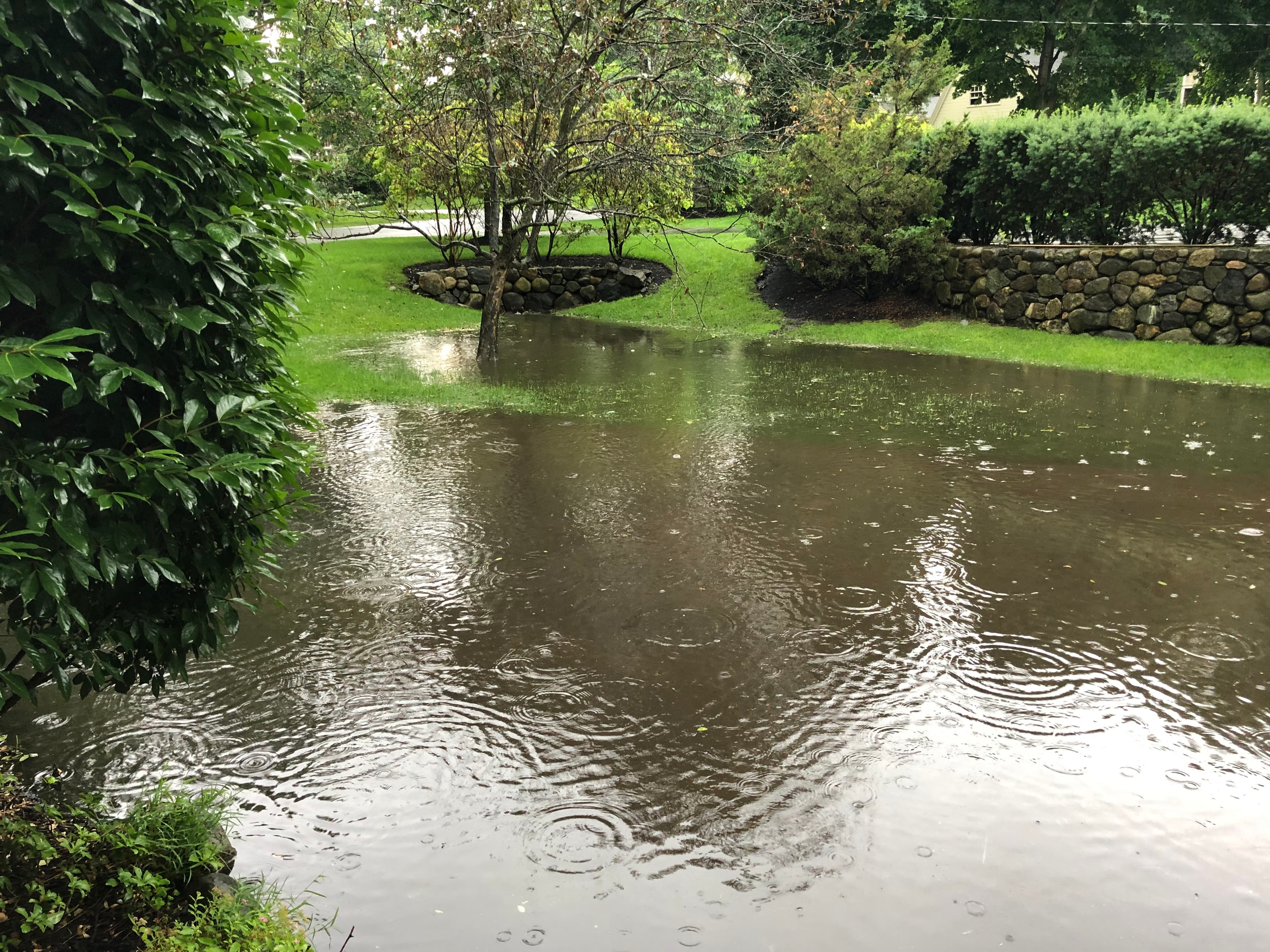 A yard on Glen Green under several inches of standing brown floodwater during a rainstorm